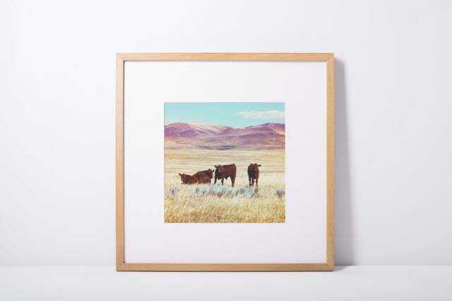 "Cows, Cow Art, Cowboy Western Montana, Montana Photography, Digital Download, Printable Wall Decor, Farmhouse Art ""Good Guys" - image 1