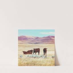 "Cows, Cow Art, Cowboy Western Montana, Montana Photography, Digital Download, Printable Wall Decor, Farmhouse Art ""Good Guys" - thumbnail 2
