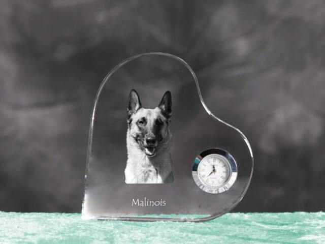 Belgian Shepherd, Malinois - Crystal Clock in The Shape Of A Heart With Image Pure-Bred Dog - image 1