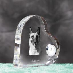 Belgian Shepherd, Malinois - Crystal Clock in The Shape Of A Heart With Image Pure-Bred Dog - thumbnail 3