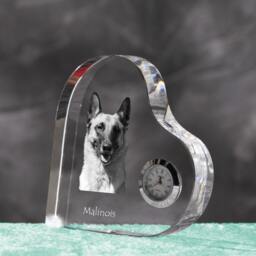Belgian Shepherd, Malinois - Crystal Clock in The Shape Of A Heart With Image Pure-Bred Dog - thumbnail 2