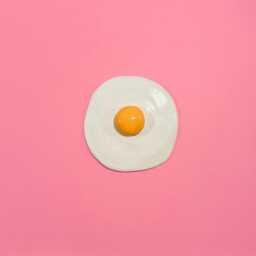 Handmade Sunny Side Up Egg Clay Sculpture Collectible Painted Decor - thumbnail 1