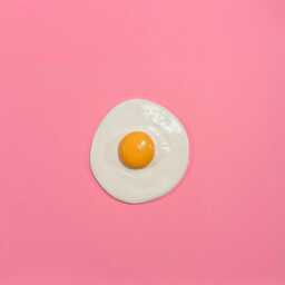 Handmade Sunny Side Up Egg Clay Sculpture Collectible Painted Decor - thumbnail 3