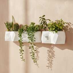 The Dover Wall Planter, Irregular Geometric Design For Modern Interiors - thumbnail 2