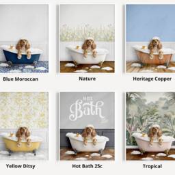 Apricot Cocker Spaniel Dog in A Bath Print, Bathing, Funny Bathroom Animal Bathtub, Dog Tub Whimsy - thumbnail 3