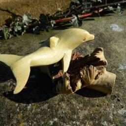 Hand Carved Wooden Dolphin - On Parasite Wood - thumbnail 2
