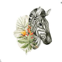 Watercolour Zebra Wall Sticker Pack, Jungle Stickers, Safari Room Decor - thumbnail 3
