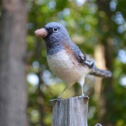 Mr. Dark-Eyed Junco, Needle Felted Bird Sculpture