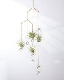Hanging Air Plant Holder Mobile, Brass Crystal Suncatcher, Geometric Hanger, Display, Gift Ideas - thumbnail 1