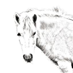 Fjord Horse - Wooden Stand For Candles/Pens With The Image Of A Horse New Collection - thumbnail 2
