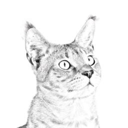 Chausie - Wooden Stand For Candles/Pens With The Image Of A Cat New Collection - thumbnail 2