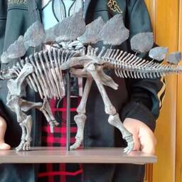 45 cm, Dinosaur Model/stegosaurus Skeleton Model Jl202101 - thumbnail 3
