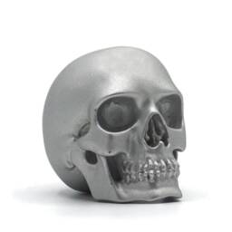 Hand Made Resin Skull Sculpture, Art, Homeware