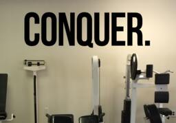 Gym Daily Motivation Conquer Vinyl Decal Fitness Wall Sticker Sport Home Interior Workout Graphics 17(Fgm - thumbnail 1