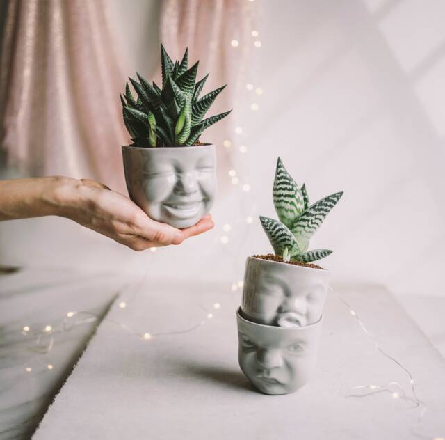 Face Planter Set Ceramic Succulent Pots, Grey Cacti Trio - image 1