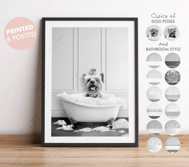 Black & White Yorkshire Terrier Dog in A Bath Print, Choose From 3 Poses, Bathing, Animal Bathtub, Wall Art - image 1