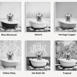Black & White Yorkshire Terrier Dog in A Bath Print, Choose From 3 Poses, Bathing, Animal Bathtub, Wall Art - thumbnail 3