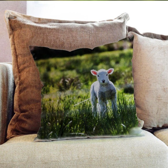 Sheep Animal Photography - Decorative Pillow Throw Cushion Fabric , Case Cover Or With Filling