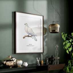 Dove Bird Wall Print, Home Decor Posters, Illustration - thumbnail 3