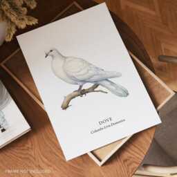 Dove Bird Wall Print, Home Decor Posters, Illustration - thumbnail 2