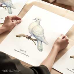 Dove Bird Wall Print, Home Decor Posters, Illustration - thumbnail 1