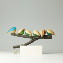 Duo Family Birds - 12 - thumbnail 3