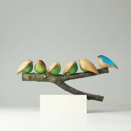 Duo Family Birds - 12