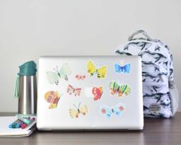 Butterfly Wall Decal By in My Backyard - Small