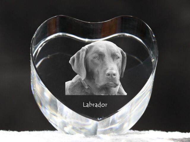 Labrador Retriever, Crystal Heart With Dog, Souvenir, Decoration, Limited Edition, Collection - image 1
