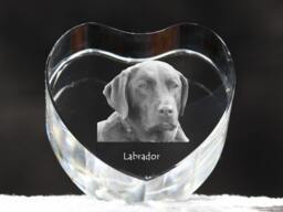 Labrador Retriever, Crystal Heart With Dog, Souvenir, Decoration, Limited Edition, Collection - thumbnail 1