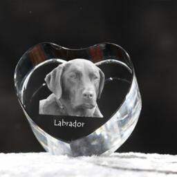 Labrador Retriever, Crystal Heart With Dog, Souvenir, Decoration, Limited Edition, Collection - thumbnail 2