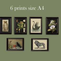 Gallery Wall Dark Light Academia Subtle Muted Colours Classic Decor Set Of 17 - thumbnail 2