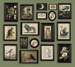 Gallery Wall Dark Light Academia Subtle Muted Colours Classic Decor Set Of 17 - thumbnail 1
