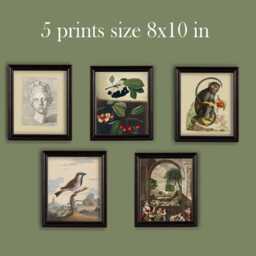 Gallery Wall Dark Light Academia Subtle Muted Colours Classic Decor Set Of 17 - thumbnail 3