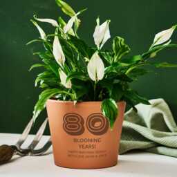 Personalized Milestone Birthday Terracotta Plant Pot - Garden Gift - thumbnail 2