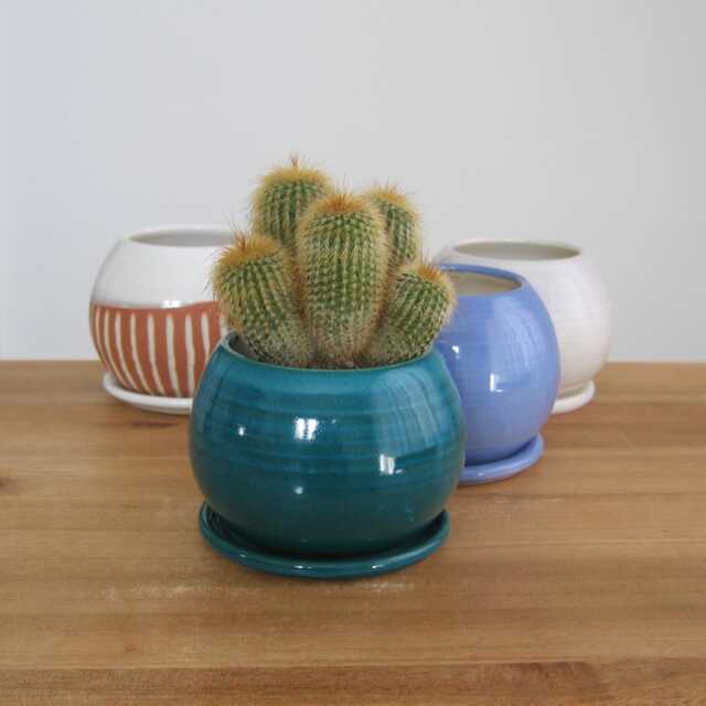 Your Choice Of One Small Ceramic Sphere Planter With Tray Cactus/Succulent Pot - image 1