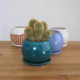 Your Choice Of One Small Ceramic Sphere Planter With Tray Cactus/Succulent Pot - thumbnail 1