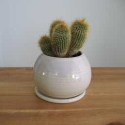 Your Choice Of One Small Ceramic Sphere Planter With Tray Cactus/Succulent Pot - thumbnail 4