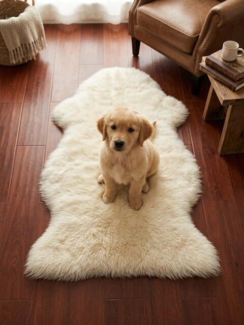 Genuine Sheepskin Rug, 100% Wool Fluffy Hide, Suede Backed, Organic Shape Floor Decor - image 1