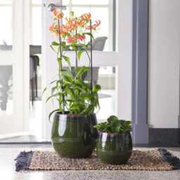 Green Ceramic Xl Plant Pot - Handmade Charlotte Retro Glazed Pot, Multiple Sizes, D15cm-D33cm - thumbnail 2