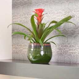 Green Ceramic Xl Plant Pot - Handmade Charlotte Retro Glazed Pot, Multiple Sizes, D15cm-D33cm - thumbnail 3