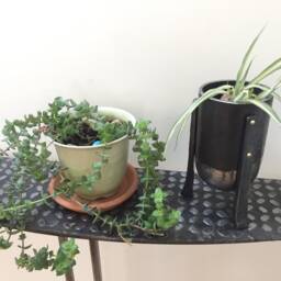 Three-Legged Planter - Forged By A Blacksmith - thumbnail 3