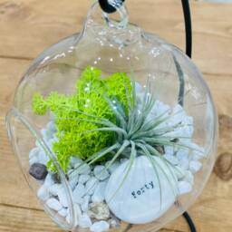 Diy Terrarium Air Plant Kit, Birthday Gift For 40 Year Olds. Forty Birthday. 40Th Gift. Air Plant Terrarium Present - thumbnail 2