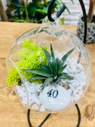 Diy Terrarium Air Plant Kit, Birthday Gift For 40 Year Olds. Forty Birthday. 40Th Gift. Air Plant Terrarium Present