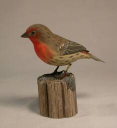 House Finch Hand Carved Wooden Songbird