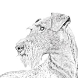 Irish Terrier - Wooden Stand For Candles/Pens With The Image Of A Dog New Collection - thumbnail 2