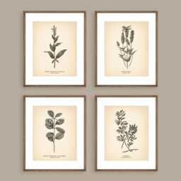 Vintage Botanical Prints Set Of 4 Poster Wildflower Print Flower Art Neutral Decor Beige - thumbnail 2