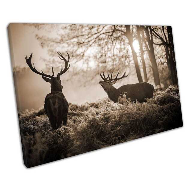 Sepia Red Deer Wall Art - Morning Sunshine Canvas Print For Home Office Decor - image 1