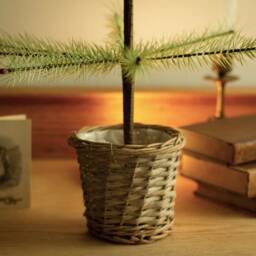German Goose Feather Christmas Tree Pale Muted Green - thumbnail 2