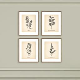 8x10'' Vintage Botanical Prints Set Of 4 Poster Wildflower Print Flower Art Neutral Decor - thumbnail 1